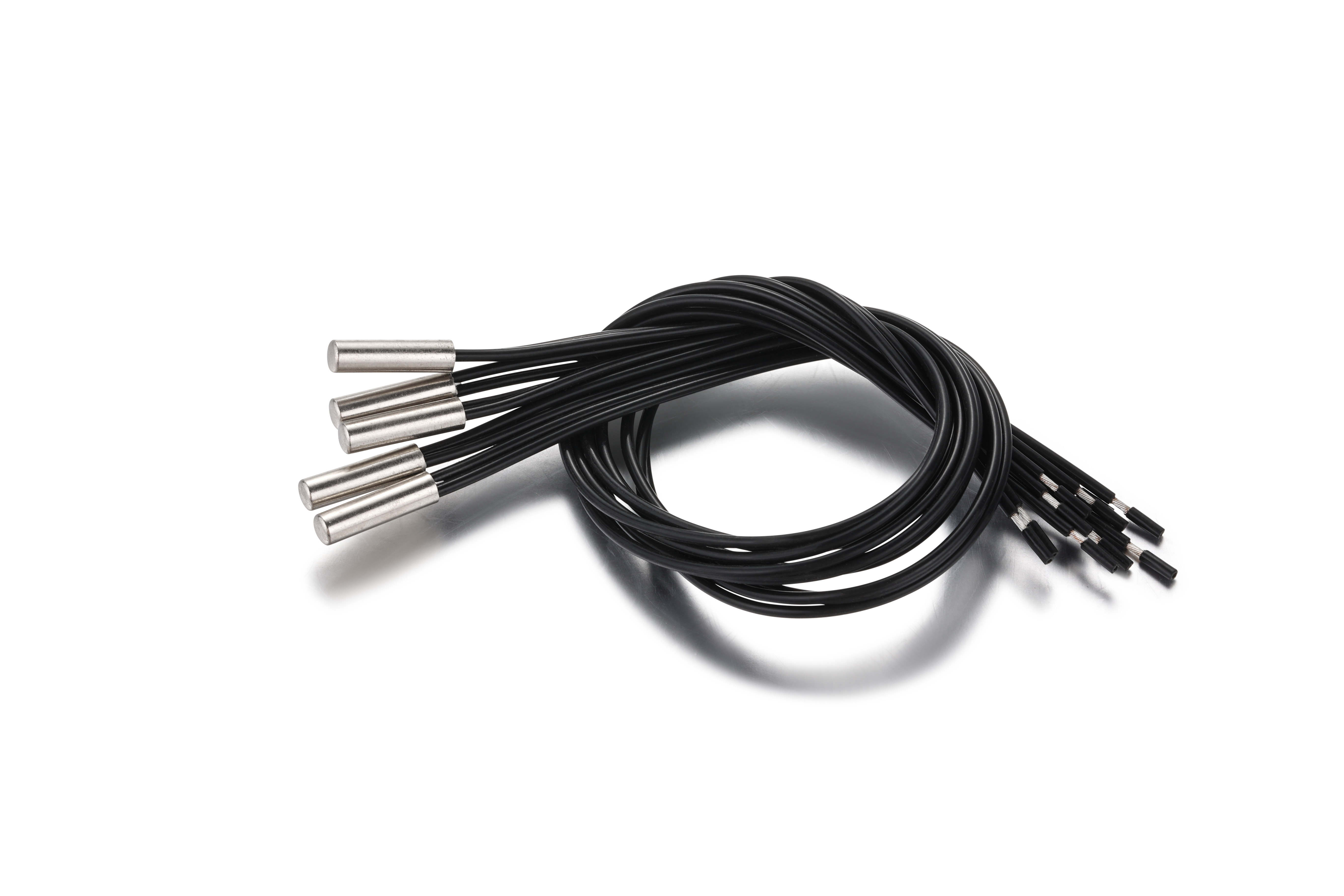 LJ8A0081
